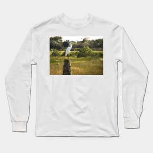 Egret Bird on a Tree Stump Florida Long Sleeve T-Shirt